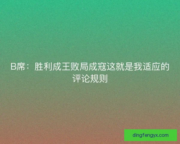 B席：胜利成王败局成寇这就是我适应的评论规则