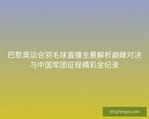 巴黎奥运会羽毛球直播全景解析巅峰对决与中国军团征程精彩全纪录