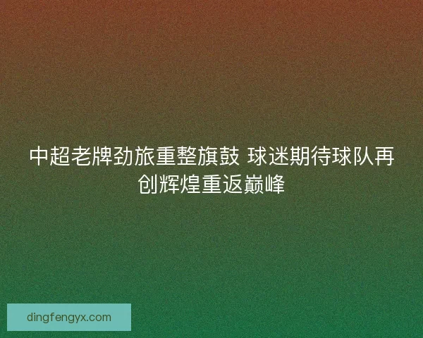 中超老牌劲旅重整旗鼓 球迷期待球队再创辉煌重返巅峰