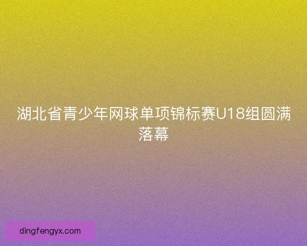 湖北省青少年网球单项锦标赛U18组圆满落幕