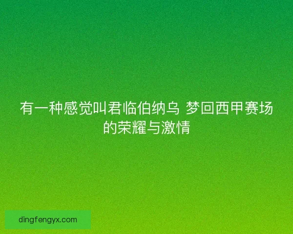 有一种感觉叫君临伯纳乌 梦回西甲赛场的荣耀与激情